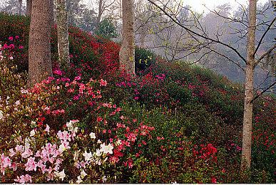 科乐美对战手游《游戏王CROSS DUEL》将于9月4日停服